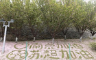 苏超论见｜热爱在雨中“奔现”：老人孤身观赛不回家，大屏持续转播不关机